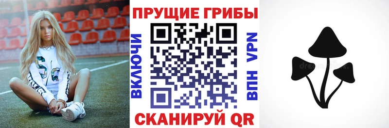 Псилоцибиновые грибы GOLDEN TEACHER Ветлуга